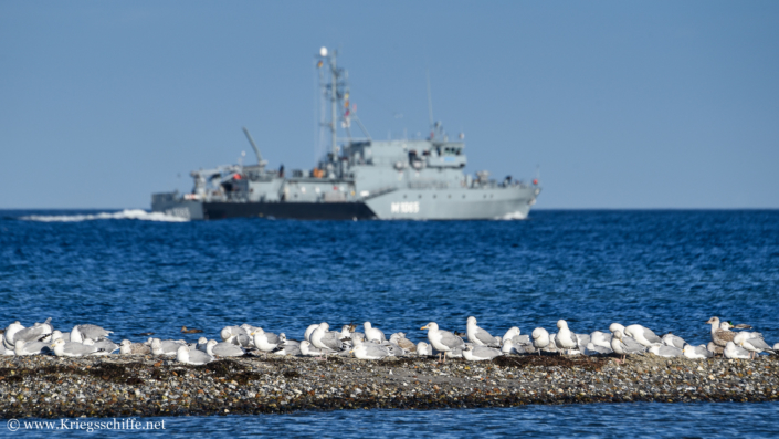 Oktober 2022, Möwen am Strand von Laboe – im Hintergrund M 1065 ‚Dillingen‘